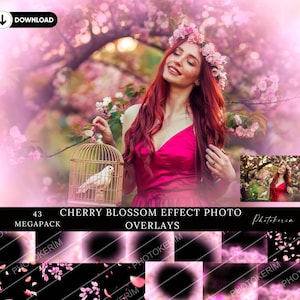 Cherry Sakura Petals: Photo Overlays for Pink Haze Bokeh, Portrait Retouching (PNG)