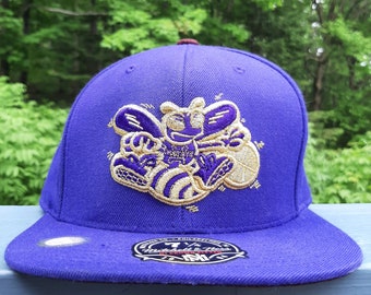 Rare Vintage CHARLOTTE HORNETS Mitchell 