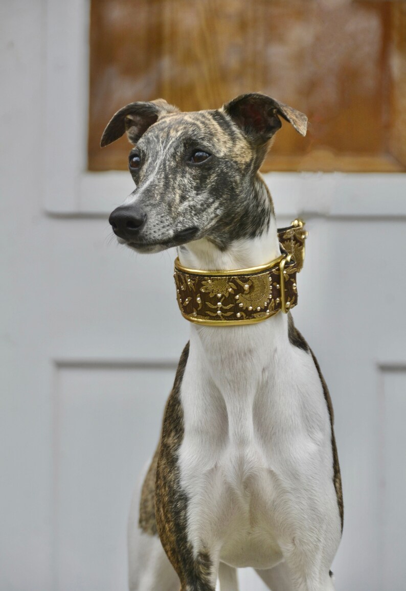 etsy whippet collar