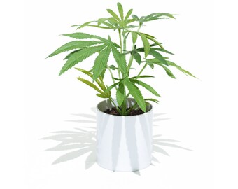 Faux, Realistic Cannabis Plant in Cylinder Container