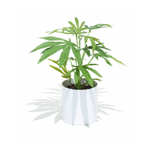 Faux, Realistic Cannabis Plant in Cylinder Container