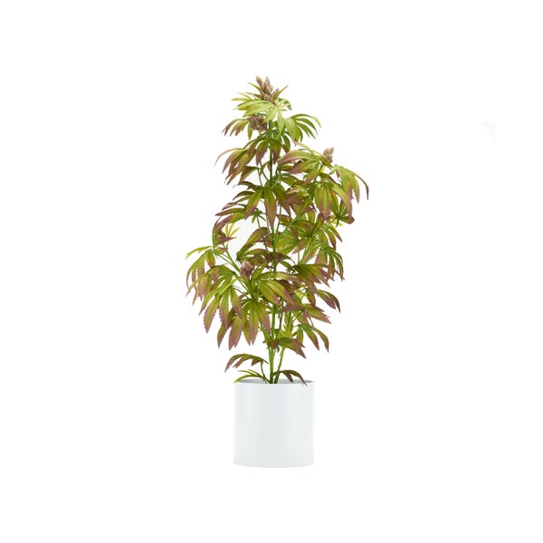 Artificial Purple Cannabis Plant in Cylinder Container - 36"