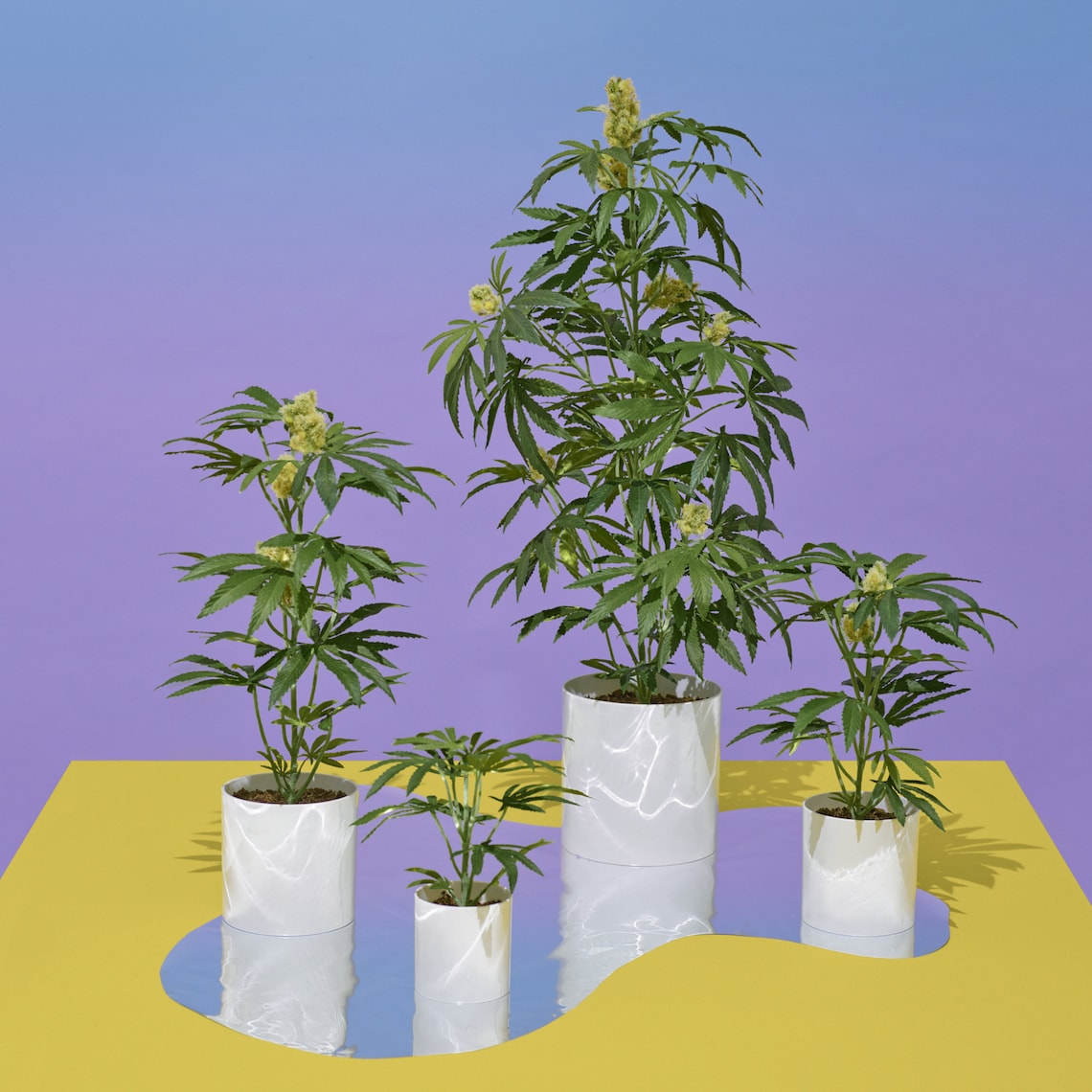 Artificial Cannabis Plant in Cylinder Container 22 Etsy