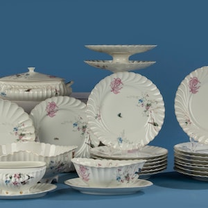23-Piece Antique Set Dinnerware - Haviland Limoges