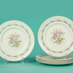 Set of 6 Dinner Plates - Royal Doulton - Fairfield