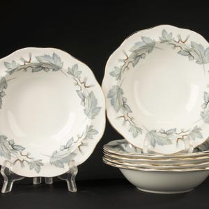 Set van 6 Kommetjes - Royal Albert - Silver Maple