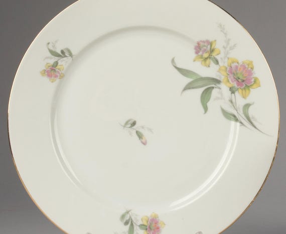 Set of 12 Dinner Plates - Thomas Rosenthal - Etsy