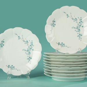 Set of 11 Dining Plates - Limoges