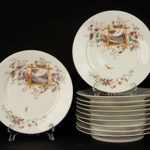 Set of 11 Antique Plates - Vieux Bruxelles