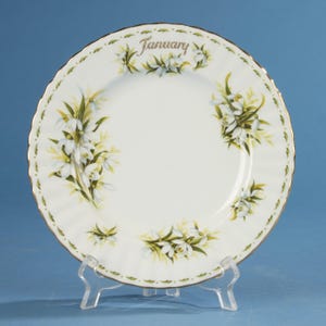 Breakfast Plate - Royal Albert - Flower of the Month - January