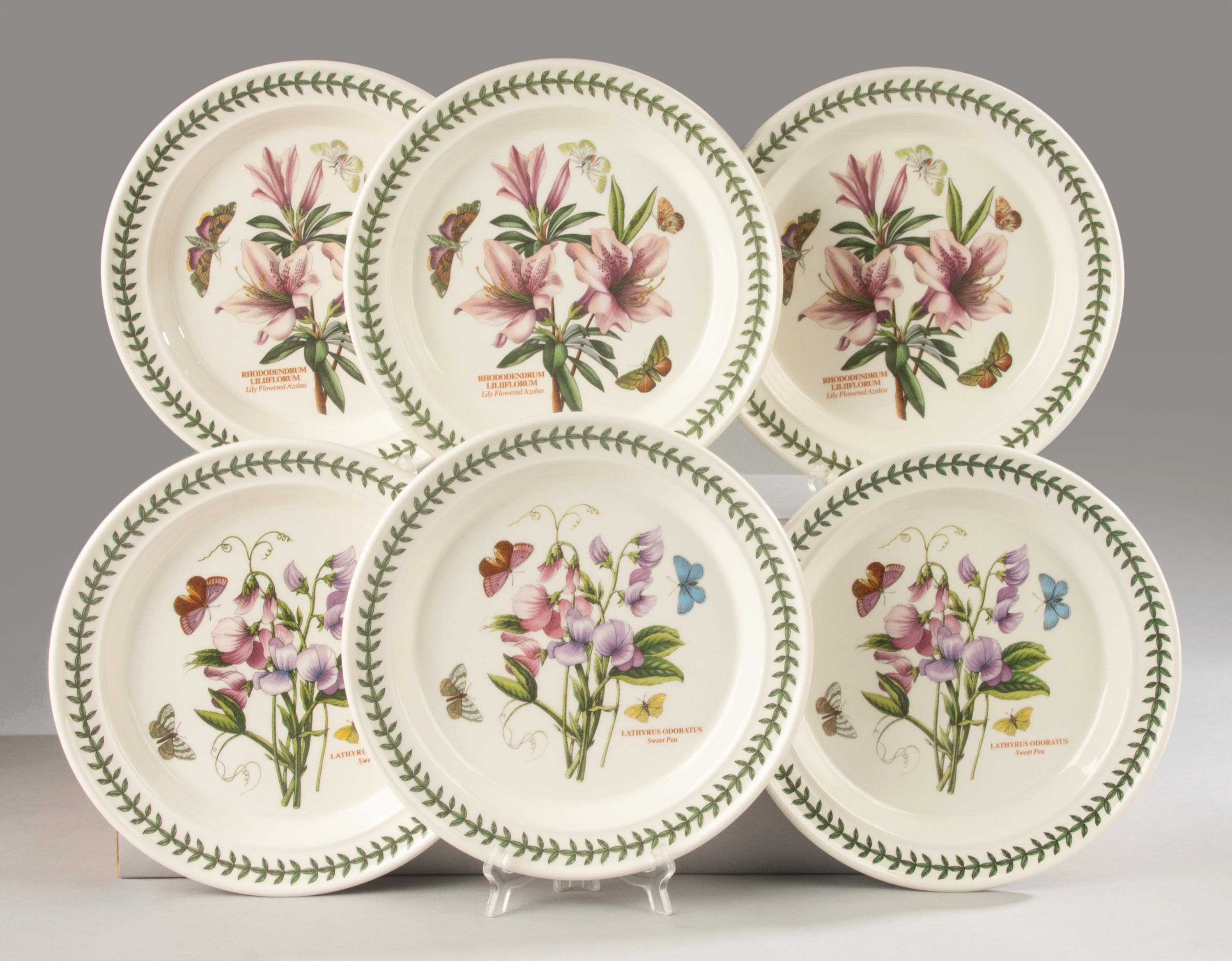 Portmeirion botanic garden cup and saucer - Etsy 日本