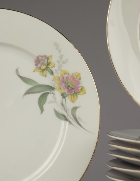 Set of 12 Dinner Plates - Thomas Rosenthal - Etsy