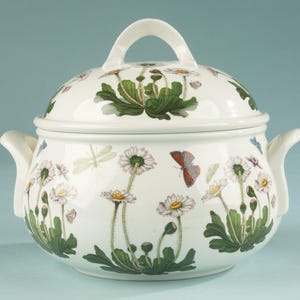 Op de afbeelding: Een witte keramische terrine met bijpassend deksel en twee handgrepen aan de zijkanten. Het oppervlak is versierd met een botanisch patroon van groene bladeren, witte madeliefjes en kleine insecten, waaronder een libel en een vlinder.