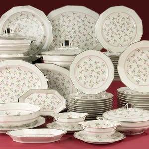 Servizio da tavola da 51 pezzi - Cerabel - Decorazione in chintz con bordi argentati