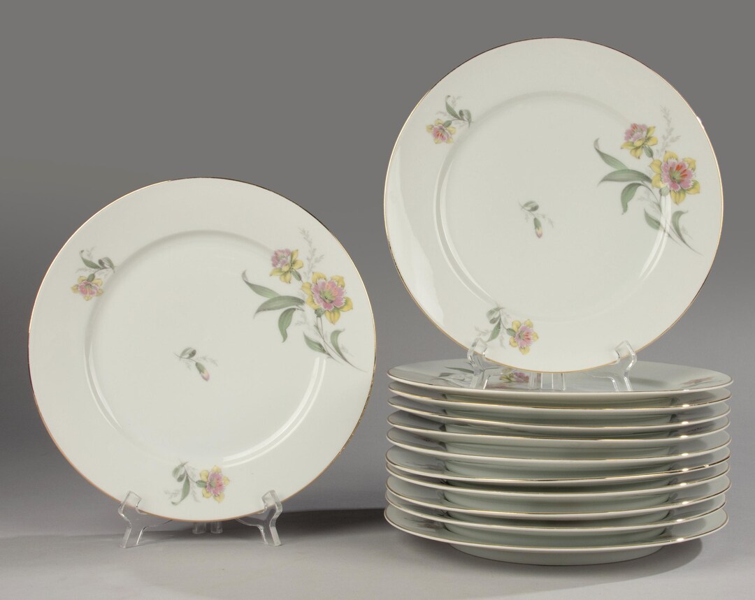 Set of 12 Dinner Plates - Thomas Rosenthal - Etsy