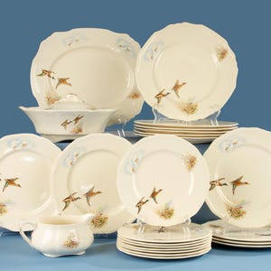 Vajilla de 23 piezas - Alfred Meakin - Aves de corral