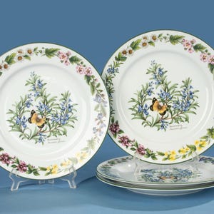 Set of 4 Dinner Plates - Royal Worcester - Herbs