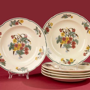 Set of 6 Soup Plates - Boch