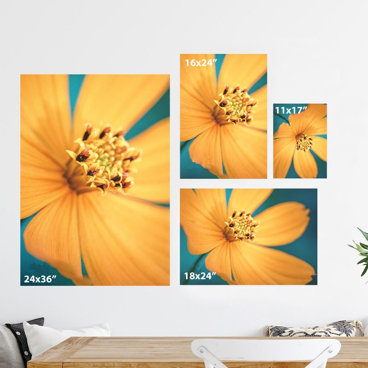 Starship Size Comparison Chart Poster