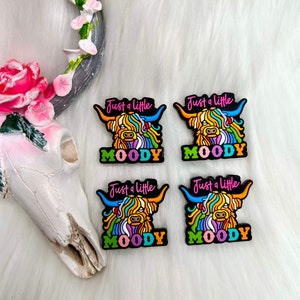 2 pack Just a little moody focal bead * cartoon character * animal beads * loose silicone beads * keychains * wristlet bead * Cup Charm