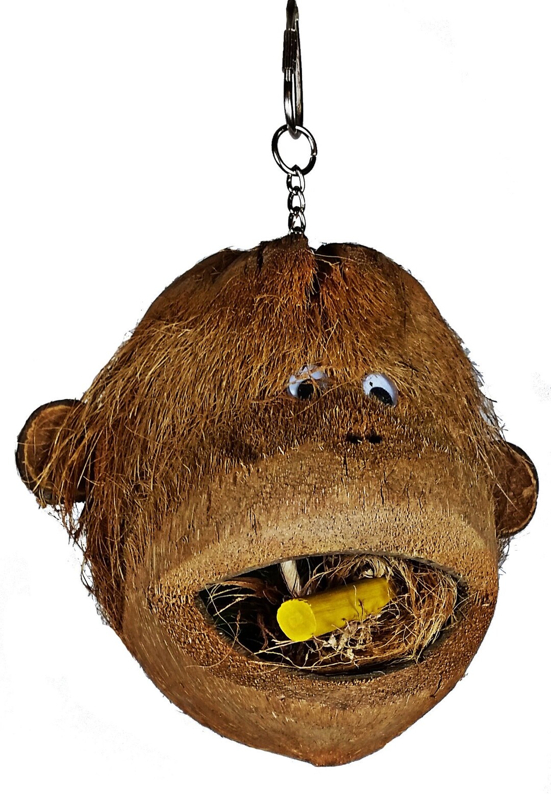 Natural Coconut Shell Monkey Head Unique Bird Toy Etsy