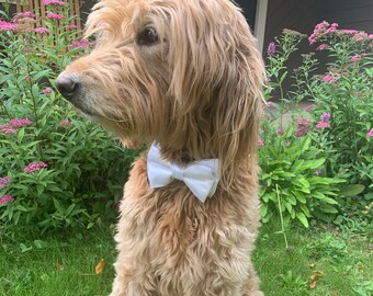 White Satin Bow Tie, wedding and special occasions with double loops