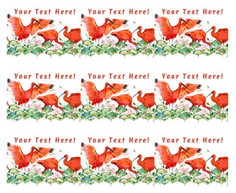 Edible Cake or Cupcake Topper Scarlet Ibis Tropical Bird