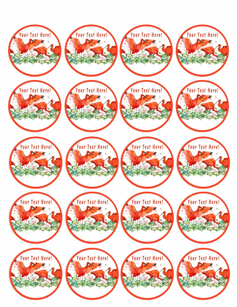 Edible Cake or Cupcake Topper Scarlet Ibis Tropical Bird