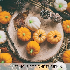 May include: A collection of small, decorative pumpkins in shades of orange and white, featuring green or dark brown stems. The pumpkins are arranged on a circular wooden slice surrounded by dried straw, pinecones, and leaves. Text reads: LISTING IS FOR ONE PUMPKIN.