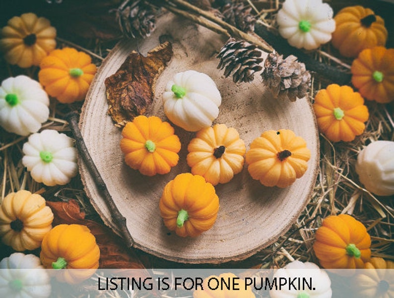 May include: A collection of small, decorative pumpkins in shades of orange and white, featuring green or dark brown stems. The pumpkins are arranged on a circular wooden slice surrounded by dried straw, pinecones, and leaves. Text reads: LISTING IS FOR ONE PUMPKIN.