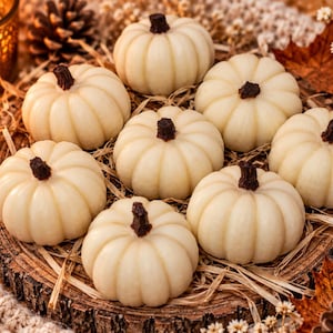 May include: A collection of eight small, off-white pumpkin-shaped candles, each featuring a dark brown stem. The pumpkins are arranged in a cluster, showcasing their rounded, ribbed surfaces and smooth texture, creating a cohesive seasonal display.
