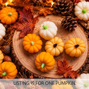 May include: A collection of small, decorative pumpkins in shades of orange and white, featuring green stems. The pumpkins are arranged on a circular wooden slice surrounded by autumn leaves, pinecones, and acorns. Text reads: LISTING IS FOR ONE PUMPKIN.