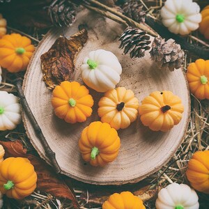 May include: A collection of small, moulded pumpkin-shaped items in shades of orange and white, featuring green or dark brown stems. These miniature pumpkins are arranged on a circular wooden slice, surrounded by pinecones, dry leaves, and straw.