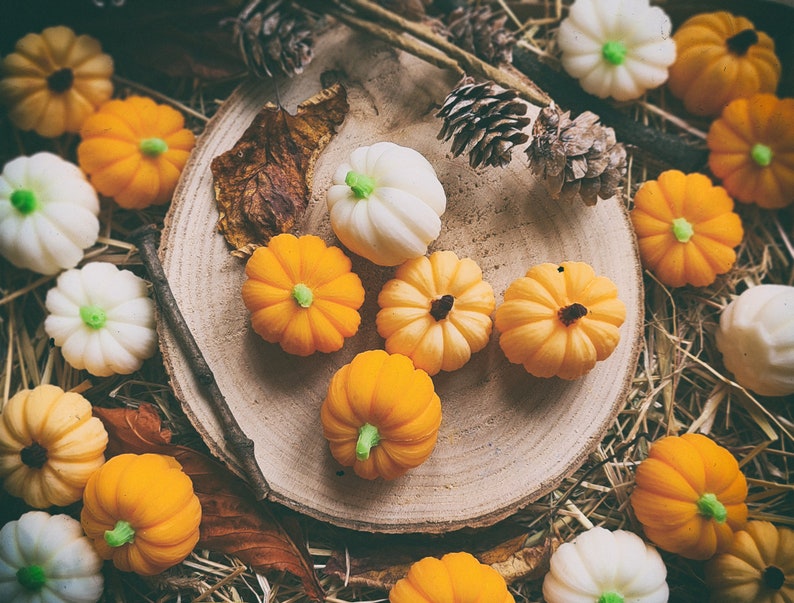 May include: A collection of small, moulded pumpkin-shaped items in shades of orange and white, featuring green or dark brown stems. These miniature pumpkins are arranged on a circular wooden slice, surrounded by pinecones, dry leaves, and straw.