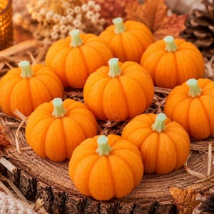 May include: A collection of nine small, vibrant orange pumpkins with light green stems, arranged in a cluster. Each pumpkin features distinct vertical ridges and a smooth, rounded shape, creating a uniform appearance across the group.