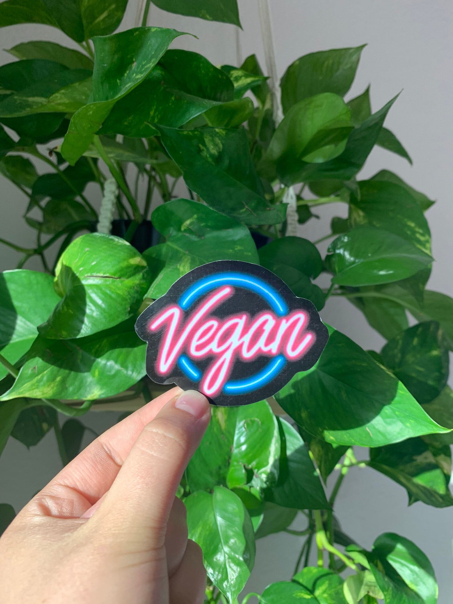 Vegan neon sign sticker neon sticker vegan waterproof Etsy