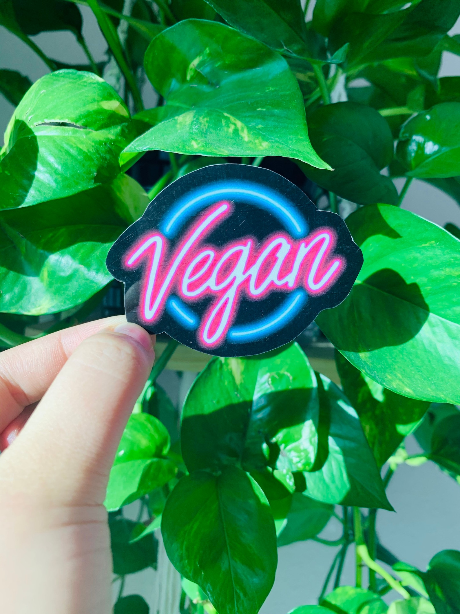 Vegan neon sign sticker neon sticker vegan waterproof Etsy