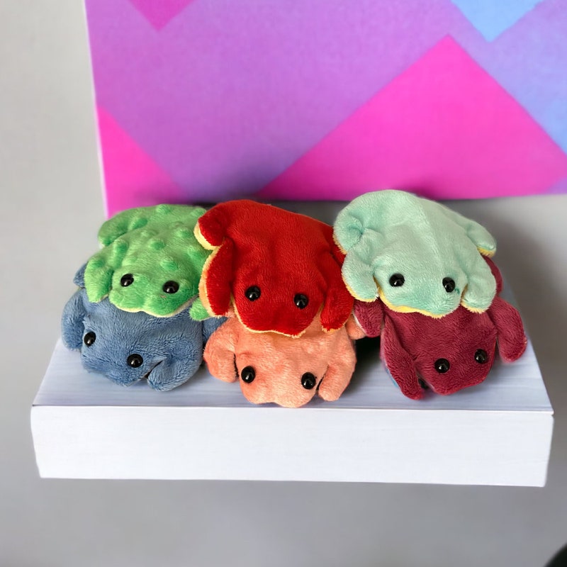 Small Frog Fidget - Etsy