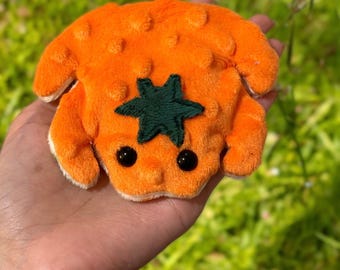 Rana de peluche con peso de calabaza, hecha a mano
