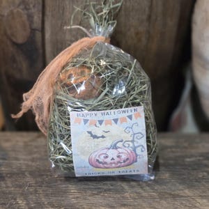 New Primitive Farmhouse Halloween Dried Grass Bowl Filler with cinnamon grunged jack o lantern and hand dyed cheesecloth ribbon