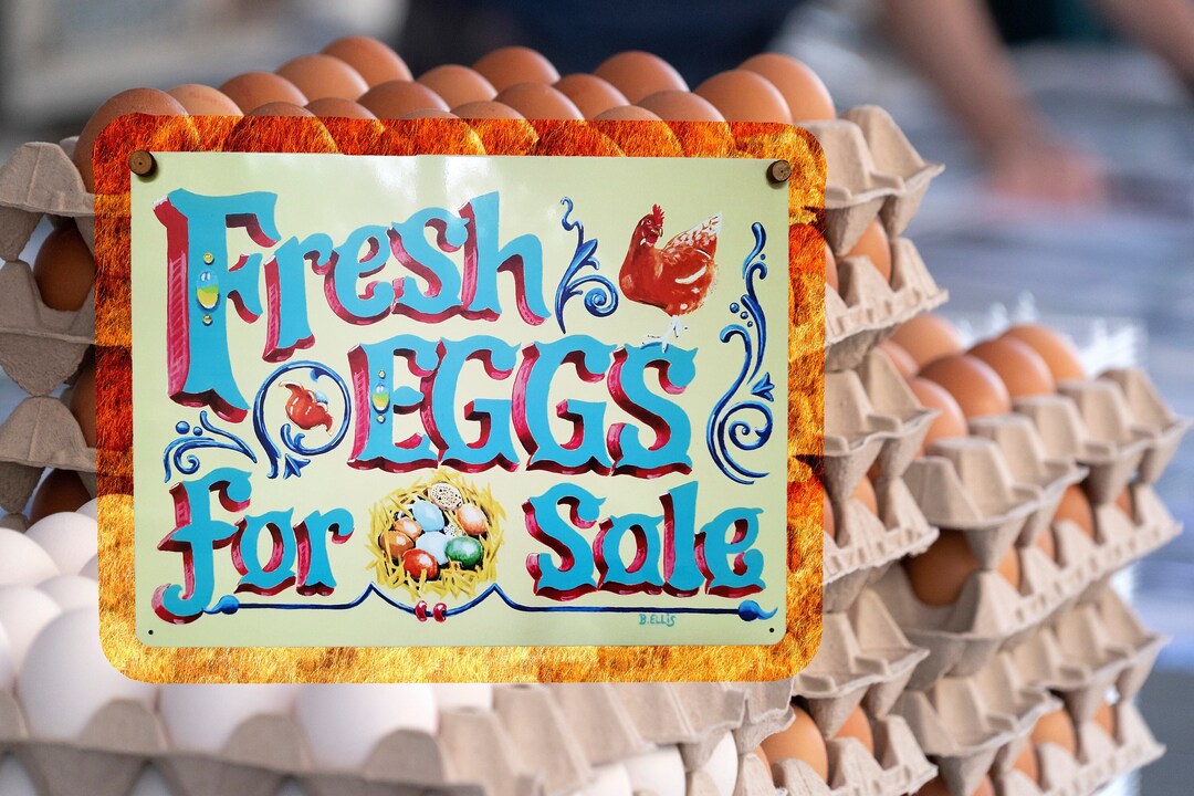 Fresh Eggs for Sale Sign, Vintage Metal Sign Hand Painting Sign for