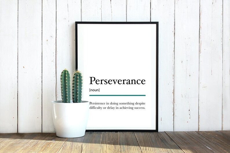 Meaning perseverance The Importance