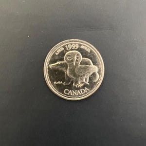 Könnte beinhalten: Eine silberne kanadische Münze mit einem Eulenmotiv. Die Münze trägt die Aufschrift "APRIL 1999 AVRIL" oben und "CANADA" unten. Die Münze befindet sich auf einem dunklen Hintergrund.