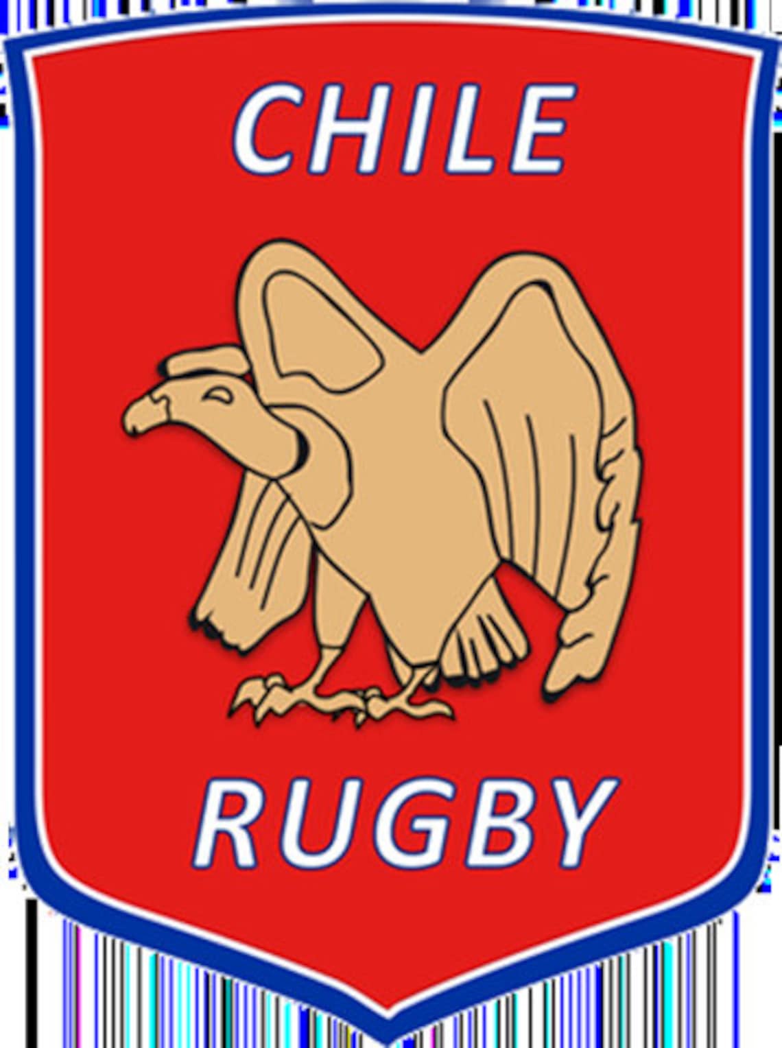 Chile National Rugby Union Team Badge Iron On Embroidered | Etsy