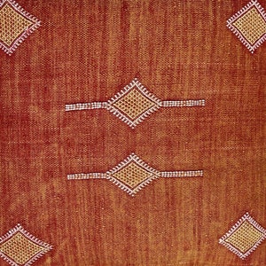 Orange Moroccan Cactus Silk Pillow ALL SIZES image 8