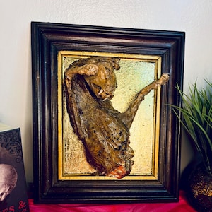 May include: A framed taxidermy specimen in a dark wood frame. The specimen is a brown, dried creature with visible teeth and a long arm. The background is gold, and the frame is dark brown with a gold inner edge. The piece is displayed on a pink surface.