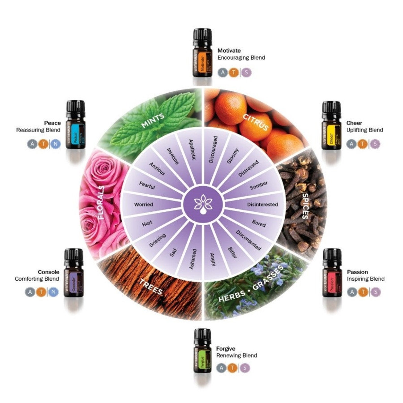 DoTERRA Emotional Aromatherapy Touch Kit Essential Oils Etsy
