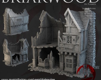 Briarwood Shop House Ruins 2 Building Dark Realms 28mm Sci-fi Cyberpunk Tabletop Terrain RPG Mecha Cyber Fantasy Role Pathfinder