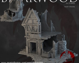 Briarwood Shop House Ruins 4 Building Dark Realms 28mm Sci-fi Cyberpunk Tabletop Terrain RPG Mecha Cyber Fantasy Role Pathfinder