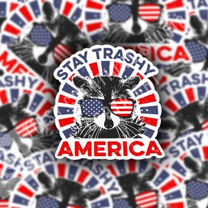 Amerika, Stickers voor hydroflask, Laptop Sticker, Republikeinse Stickers, 4 juli, Conservatieve stickers, verlichte vrienden, vuilnispanda, wasbeer